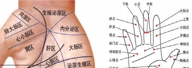 手掌怎么看健康状况_手掌看身体状况_从手掌看健康状态