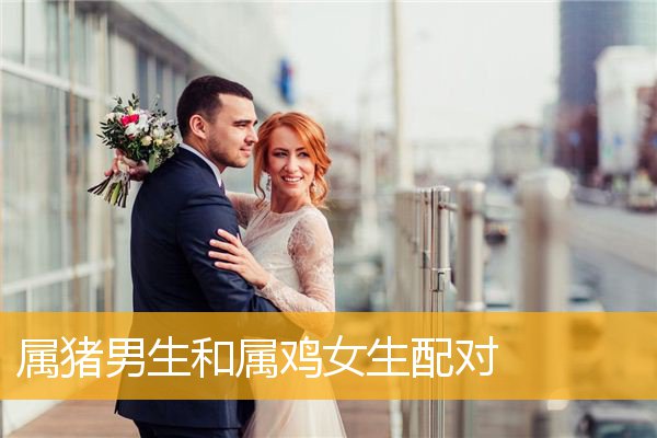 狗的婚姻配对_狗狗婚配怎么样_婚姻狗配什么生肖最好