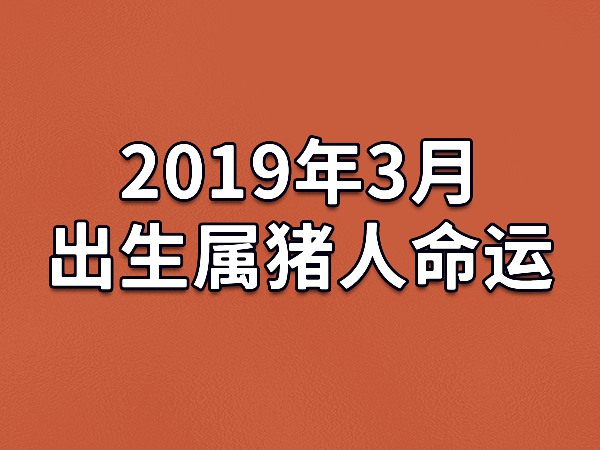 生辰八字事业方向_八字事业能得出什么_事业方向个人八字