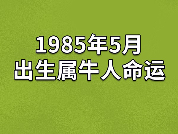 事业方向个人八字_生辰八字事业方向_八字事业能得出什么