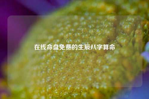 在线命盘免费的生辰八字算命