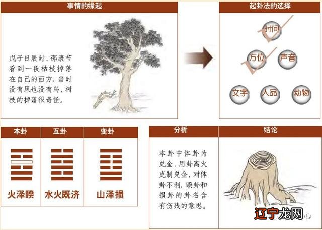 梅花易数经典起卦法及传奇案例——枯枝占