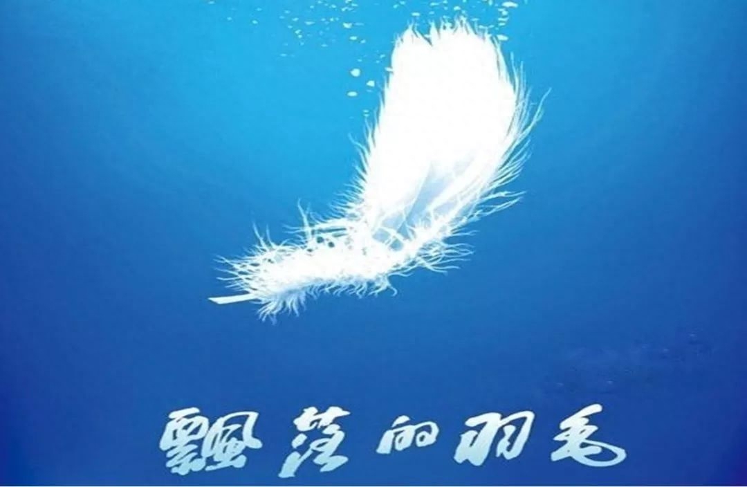 周易预测股票_周易大师预测股市_周易大师预测a股