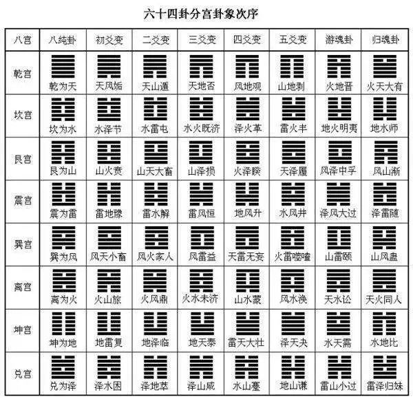 杨春义易经六爻占卜术_易经六爻术语详解大全图片_易经六爻占卜术视频下载