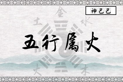 八字事业心强的人_八字事业心重_八字事业心强的女生