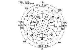 八字算命看事业运_八字看事业运怎么看_八字看事业走向