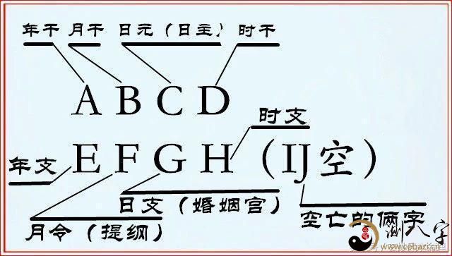 八字命理的基础_八字命理基础之甲木篇_八字命理基础知识入门