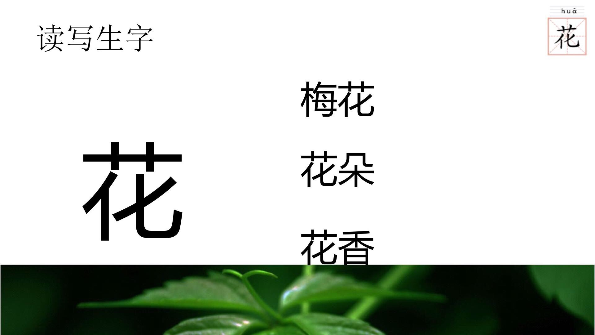 梅花易数测字起卦法_梅花易数如何测字_梅花易数测字起卦方法详解