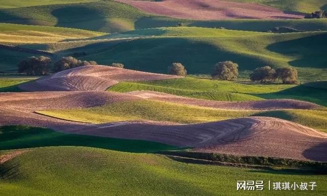 合金和八字财运土命相克吗_八字金和土的关系_金和土八字合不合财运