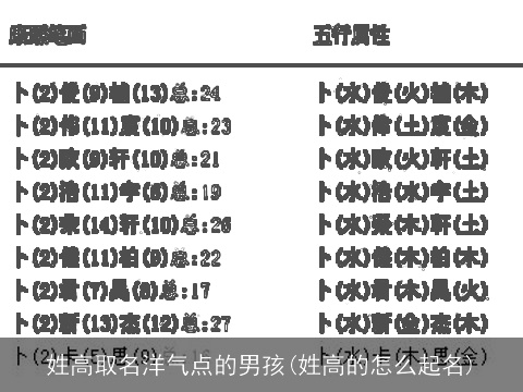 姓高取名洋气点的男孩(姓高的怎么起名)