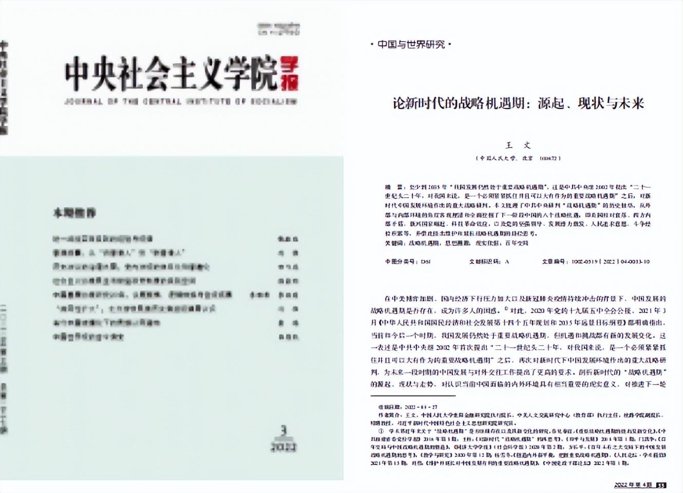 <strong>王文：“风险防控”与“机遇捕捉”辩证视野</strong>