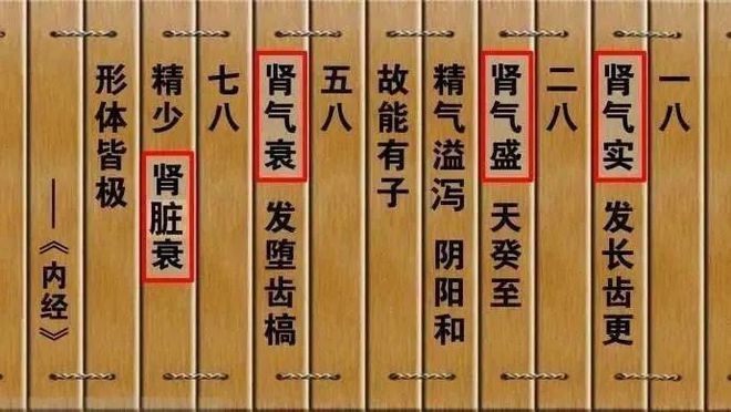 1990年属马五行属什么五行阴历